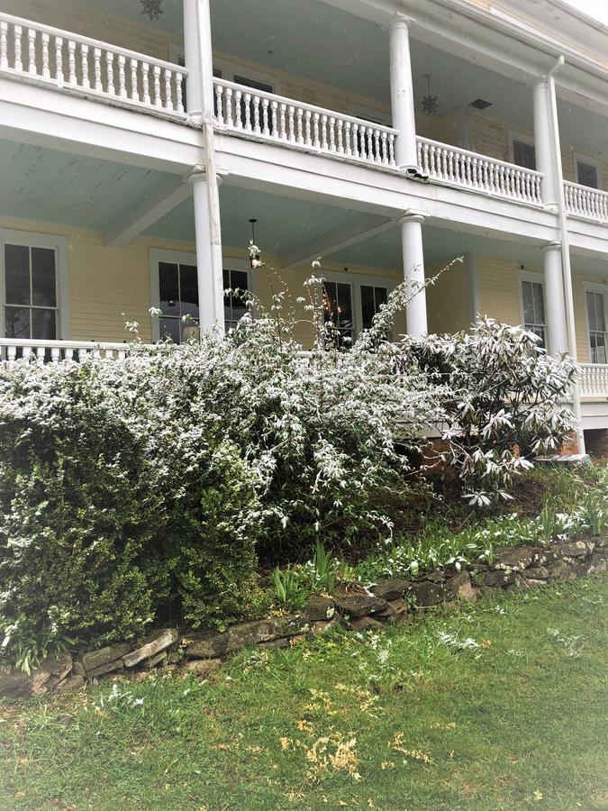Grand Old Lady Hotel Уэйнсвилл Экстерьер фото